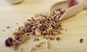 Echinacea