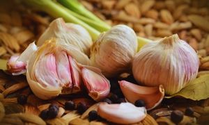 Garlic