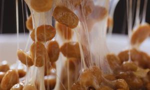 Nattokinase