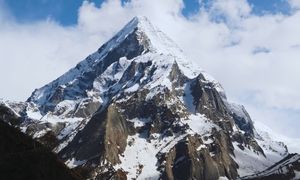 Shilajit