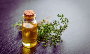 Thyme